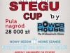 Stegu Cup 2012